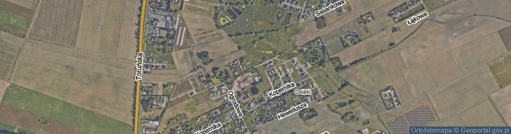 Zdjęcie satelitarne Modrzewiowa ul.